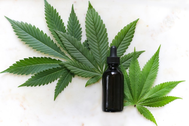 Entdecken Sie die Welt der CBD-Shops Online